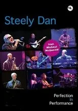 Póster de Steely Dan: Perfection In Performance