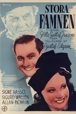 Póster de Stora famnen