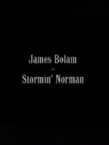 Póster de Stormin' Norman