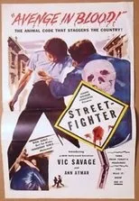 Póster de Street Fighter