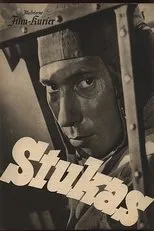 Póster de Stukas