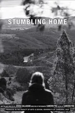 Póster de Stumbling Home