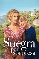 Póster de Suegra por sorpresa