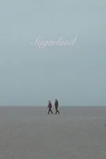 Póster de Sugarland