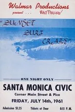 Póster de Sunset Surf Craze