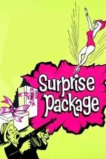 Póster de Surprise Package