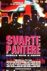 Póster de Svarte pantere