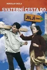 Póster de Svatební cesta do Jiljí