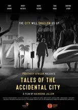 Póster de Tales of the Accidental City