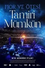 Póster de Tamiri Mümkün