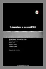 Póster de Te busqué y no te encontré