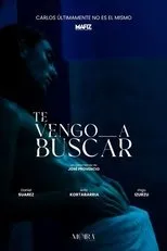 Póster de Te vengo a buscar