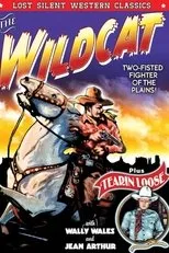 Póster de Tearin' Loose