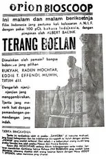 Póster de Terang Boelan