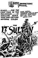 Póster de The 13th Sultan