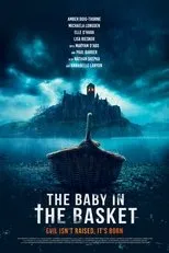 Póster de The Baby in the Basket