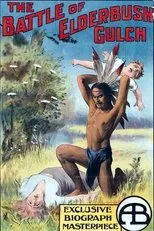 Póster de The Battle at Elderbush Gulch