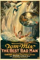 Póster de The Best Bad Man