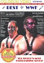 Póster de The Best of the WWF: volume 13