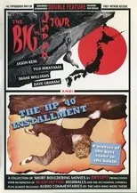 Póster de The Big In Japan Tour & The HP 40 Installment