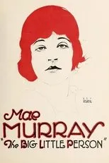 Póster de The Big Little Person