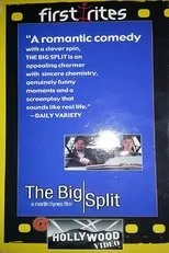 Póster de The Big Split