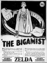 Póster de The Bigamist