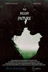 Póster de The Bigger Picture
