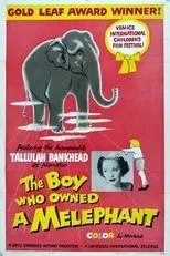Póster de The Boy Who Owned a Melephant