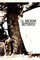 Póster de The Broken Butterfly