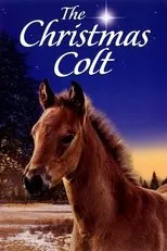 Póster de The Christmas Colt