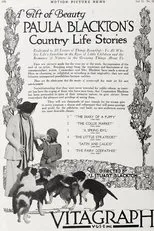 Póster de The Collie Market