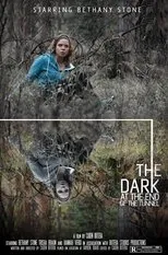 Póster de The Dark at the End of the Tunnel