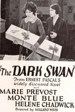 Póster de The Dark Swan