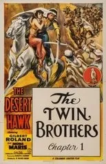 Póster de The Desert Hawk