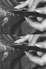 Póster de The Devil is Dead