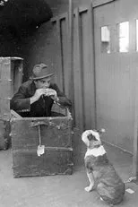 Póster de The Dog in the Baggage Car