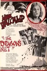 Póster de The Dragon's Net