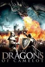 Póster de The Dragons of Camelot