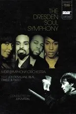 Póster de The Dresden Soul Symphony