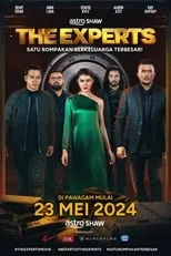 Póster de The Experts