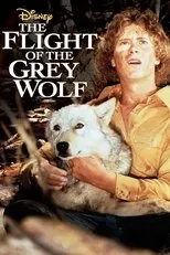 Póster de The Flight of the Grey Wolf