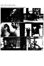 Póster de The Flower Thief