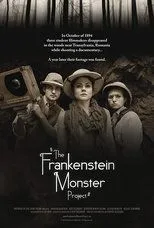 Póster de The Frankenstein Monster Project