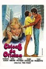 Póster de The Girls in the Office