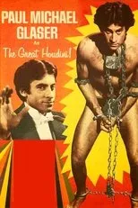 Póster de The Great Houdinis