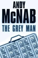 Póster de The Grey Man