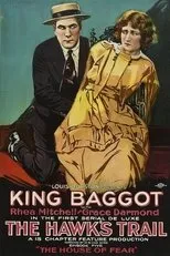 Póster de The Hawk's Trail