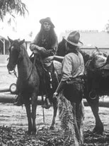 Póster de The Hero Track Walker