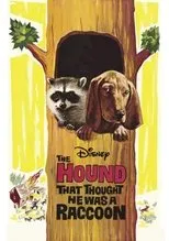 Póster de The Hound That Thought He Was a Raccoon